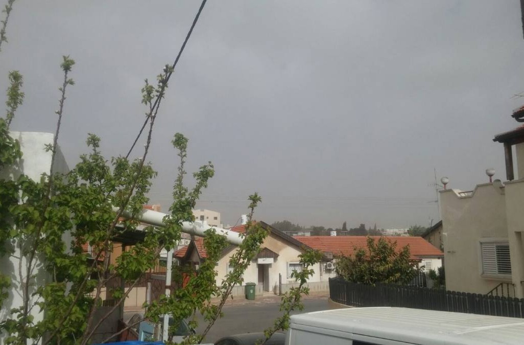 אביך בשדרות. צילום: ניצן בר קמה אביך בשדרות. צילום: ניצן בר קמה