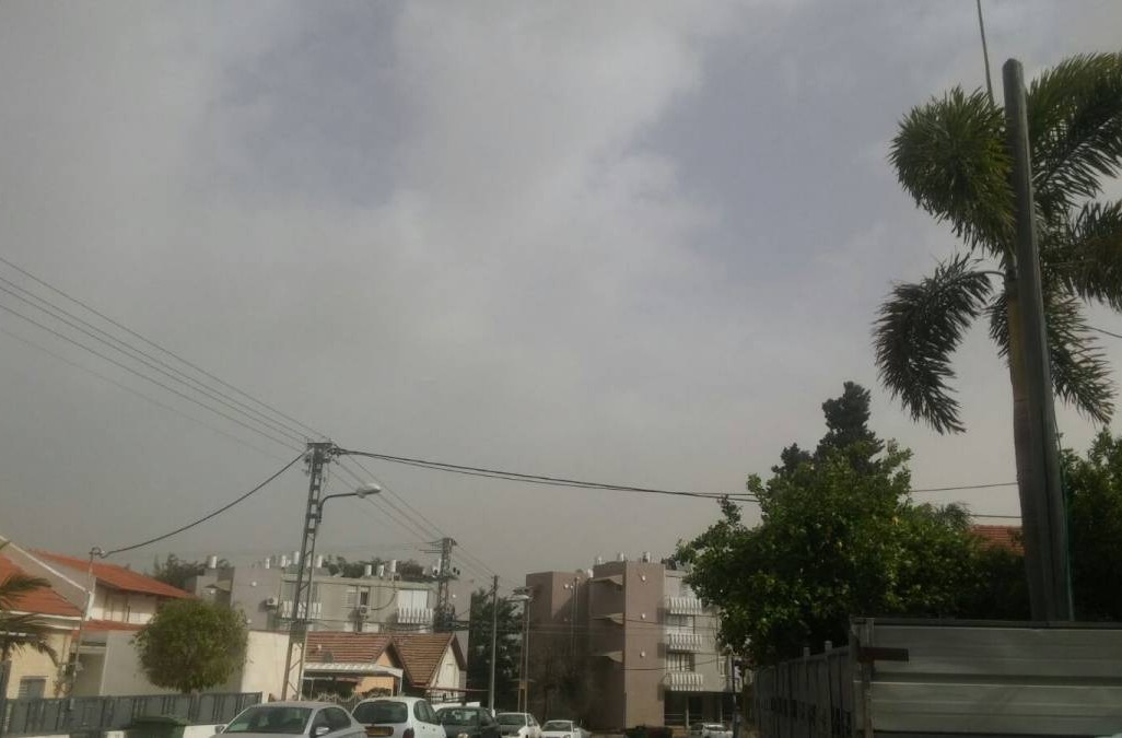 אביך בשדרות. צילום: ניצן בר קמה