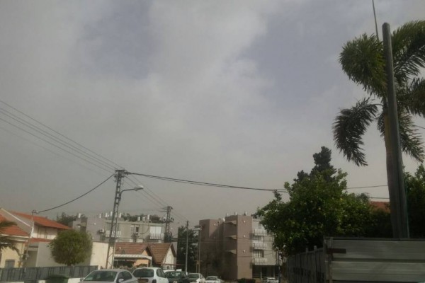 אביך בשדרות. צילום: ניצן בר קמה