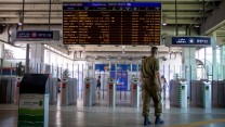 ארכין. צילום: גארט מילס / פלאש 90