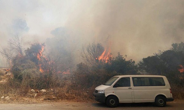 שריפה בחיפה שאיימה לכלות ישיבה(צילום: דוברות כיבוי אש והצלה מחוז חוף)