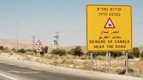 צילום: רבקה זפרט/ פלאש 90