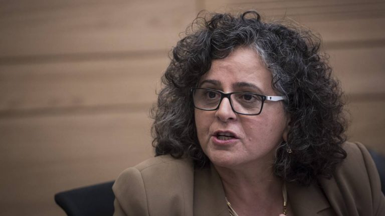 ח"כ עאידה תומא-סלימאן. "יש בעיה באיוש תקנים, אין בעיית תקינה" (צילום: פלאש 90)