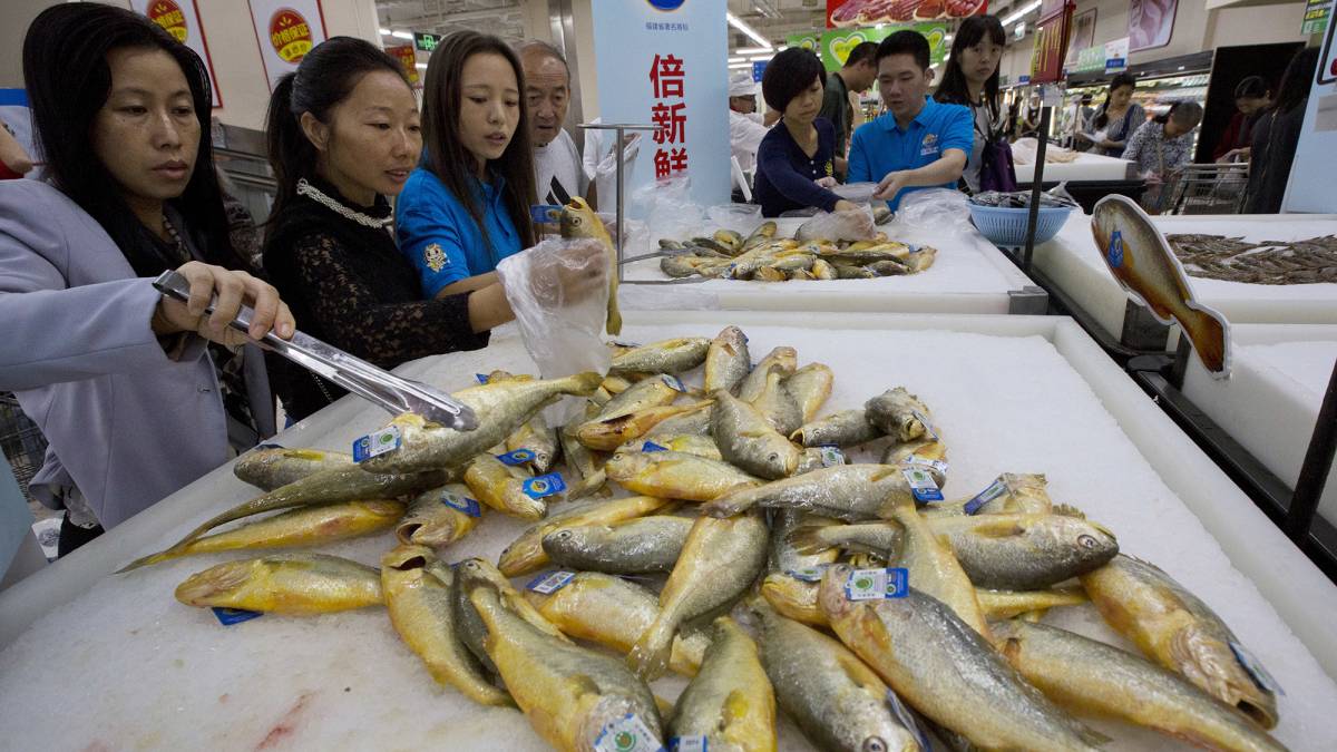 שוק דגים בסין. ארכיון (צילום: סוכנות AP)