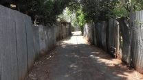 סמטה בכפר שלם, ת"א 2016. צילום: דבר ראשון