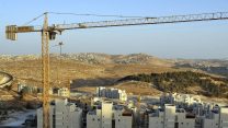 עגורן (תמונת ארכיון). צילום: סרג' אטל / פלאש 90.