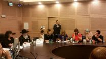 דיון בנושא בריאות נשים בוועדה לקידום מעמד האישה. צילום: דבר ראשון