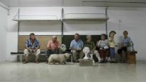 מבוגרים יושבים במקלט בנהריה בזמן שנשמעת אזעקה בעיר. 25 ביולי 2006. צילום: פיל זוסמן \ פלאש 90