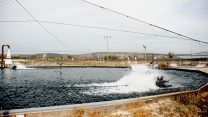 בריכת דגים במעגן מיכאל. ארכיון. צילום: מתוך פיקיויקי.