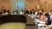 דיון דחוף בוועדת העבודה, הרווחה והבריאות של הכנסת (צילום: דוברות הכנסת)