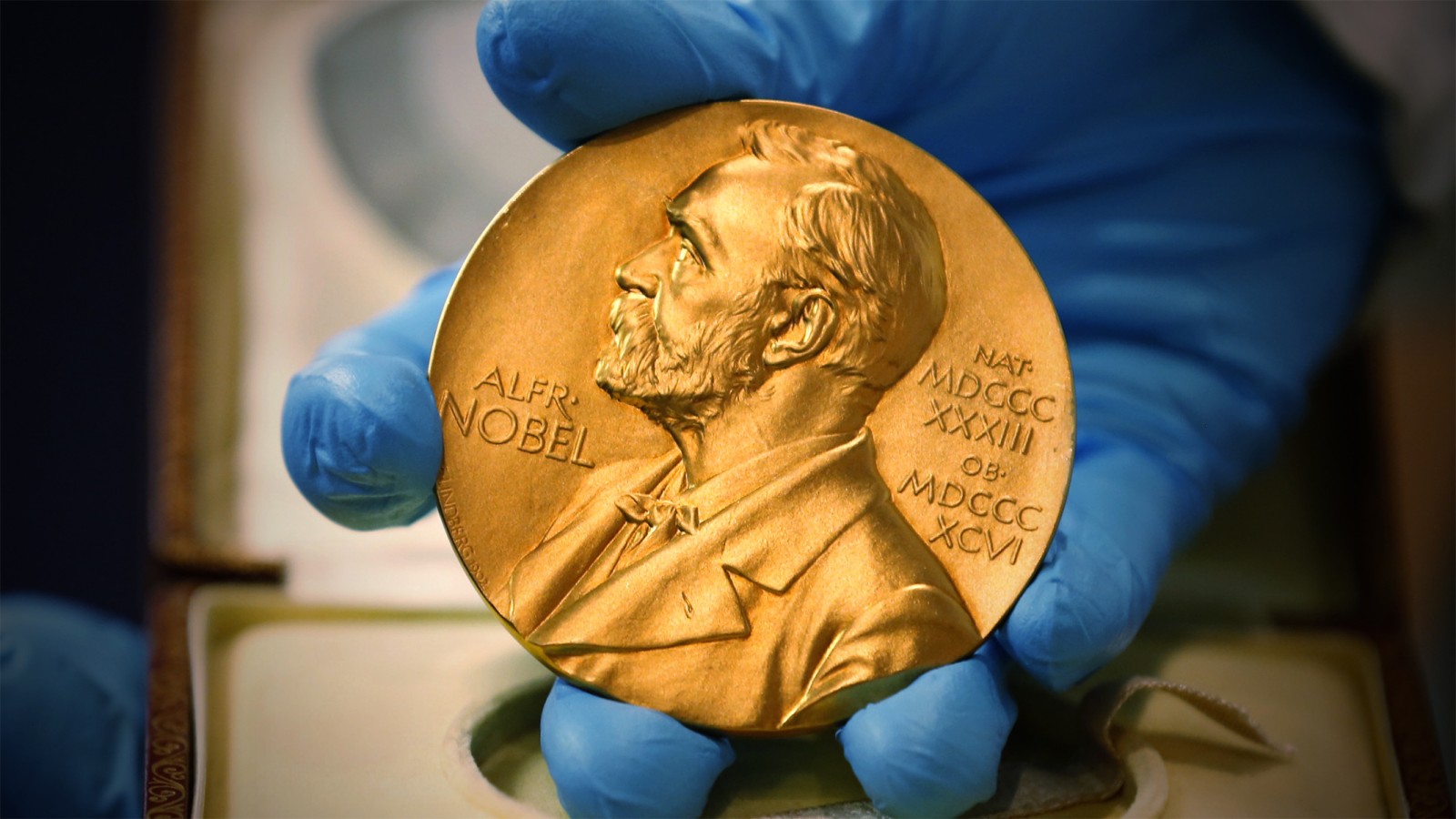 פרס נובל (צילום: סוכנות AP).