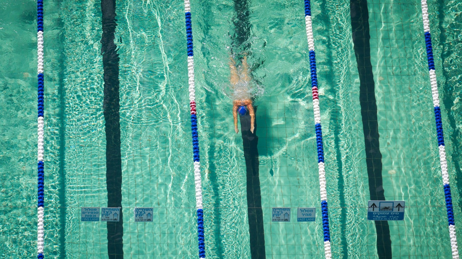 בריכת שחייה (צילום: מרים אלסטר / פלאש 90).