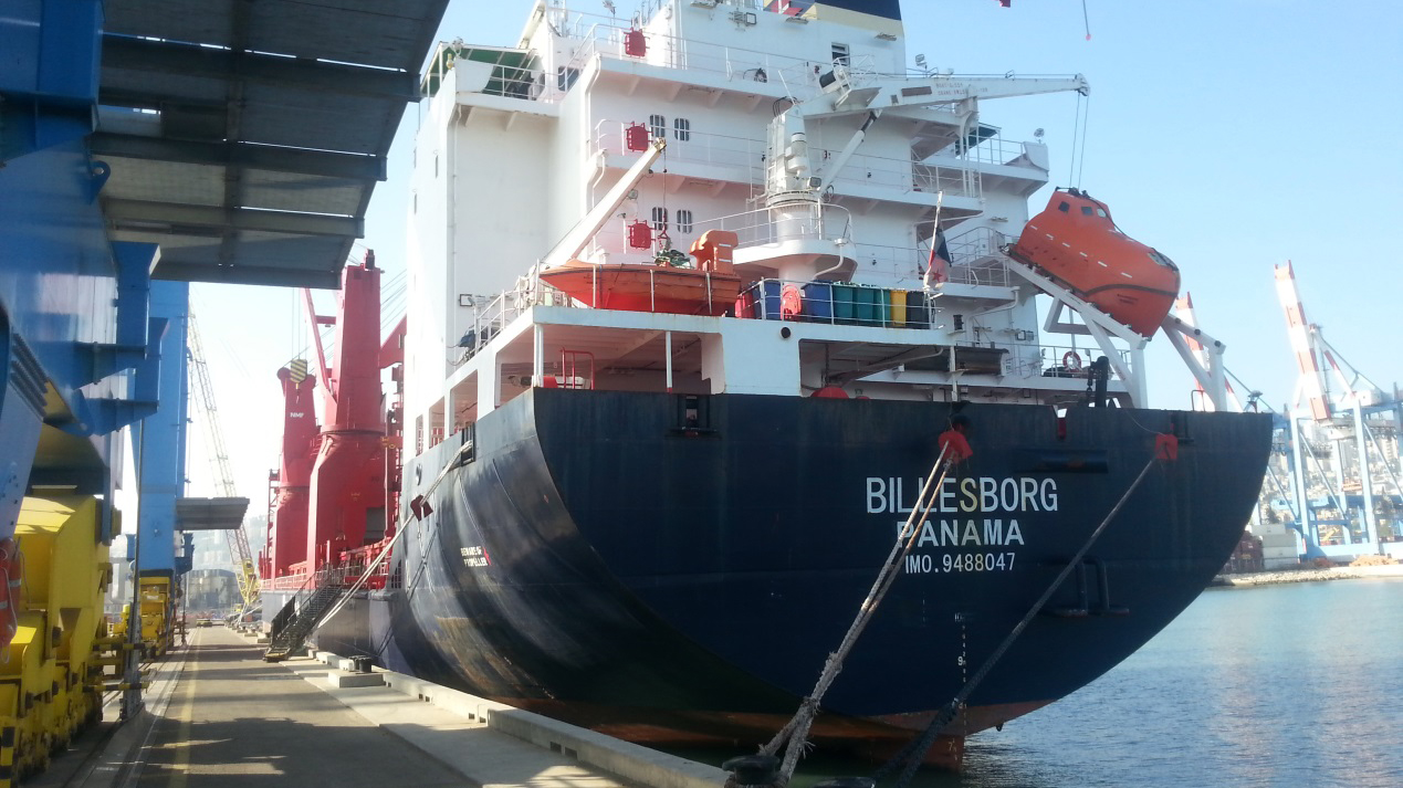 האוניה BILLESBORG שנמצאה מזרימה מי ביוב (צילום: ניר לוינסקי, מנהל תחנת צפון, יחידה ארצית להגנת הסביבה הימית).