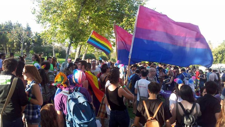 The bisexual flag at the 2015 Jerusalem Pride Parade (Photo: Dabar Rishon).