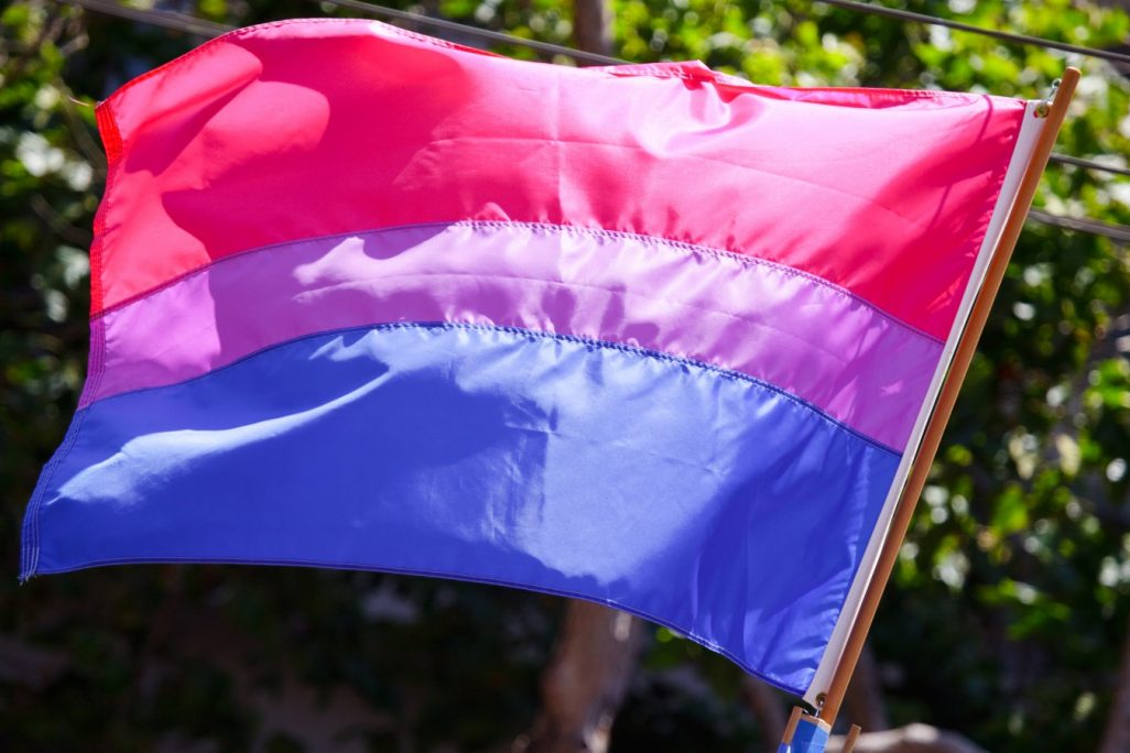 דגל הגאווה הביסקסואלית (צילום: Peter Salanki, מתוך Flickr).