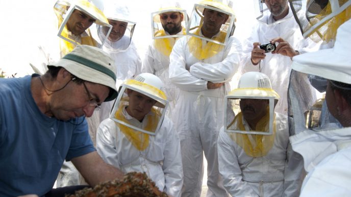 קורס גידול דבורים מחזור 2012 (התמונות באדיבות מעבדת הדבורים בפקולטה לחקלאות).