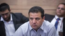 איימן עודה (צילום: הדס פרוש / פלאש 90)