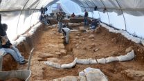 אתר החפירה במגרש הרוסים. על הרצפה ניתן לראות את אבני הקלע, עדות מוחשית לקרב שהשתרר כאן לפני 2000 שנה (צילום: יולי שוורץ, באדיבות רשות העתיקות).
