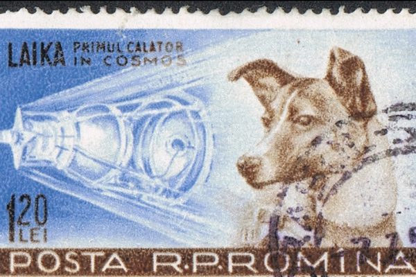 ציור של הכלבה לייקה על בול של הדואר הרומני (צילום ויקימדיה קומונס).