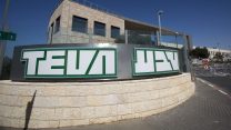 משרדי טבע (צילום ארכיון: יונתן זינדל / פלאש 90)