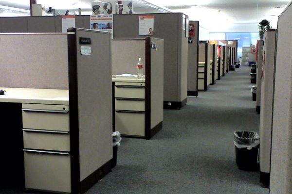 תאים משרדיים בחברת מחשבים (צילום: Tim Patterson  flickr)