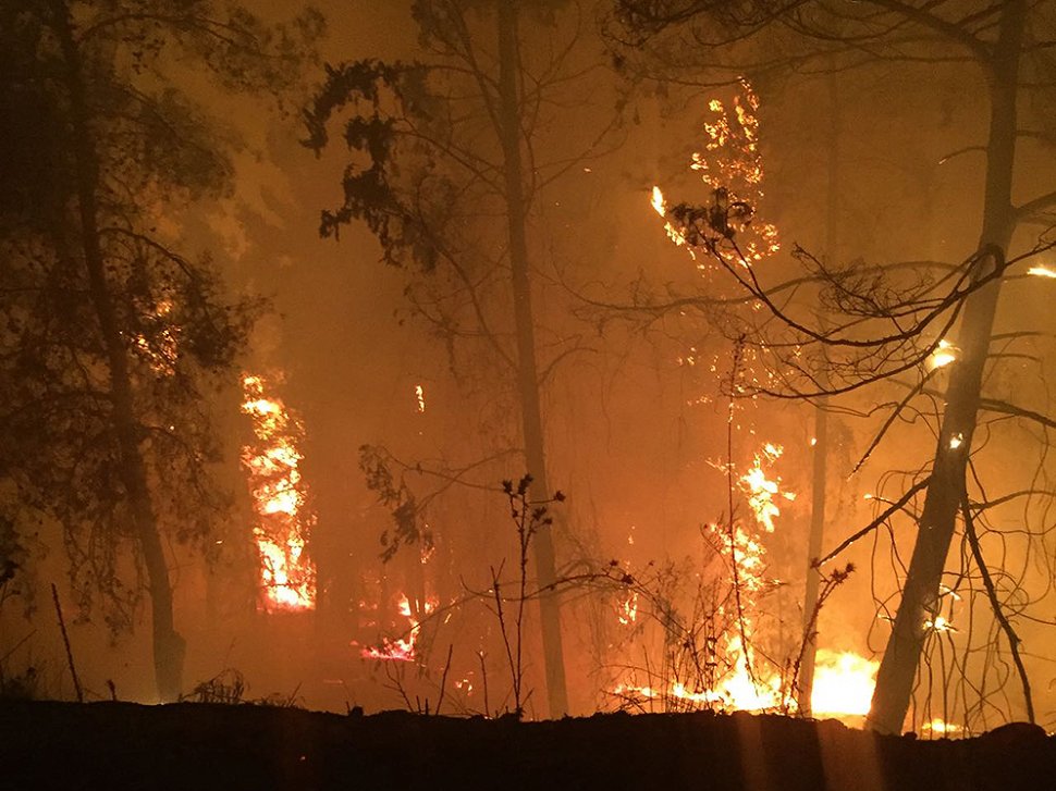 שריפה ביער לטרון הלילה (צילום: דוברות כב״ה ירושלים).