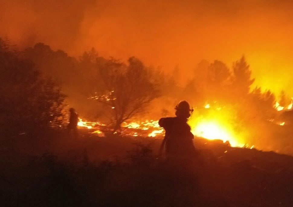 שריפה ביער לטרון (צילום: דוברות כב״ה ירושלים).
