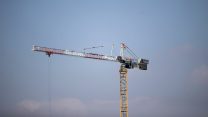 עגורן ברוח (צילום: יונתן זינדל  פלאש 90)