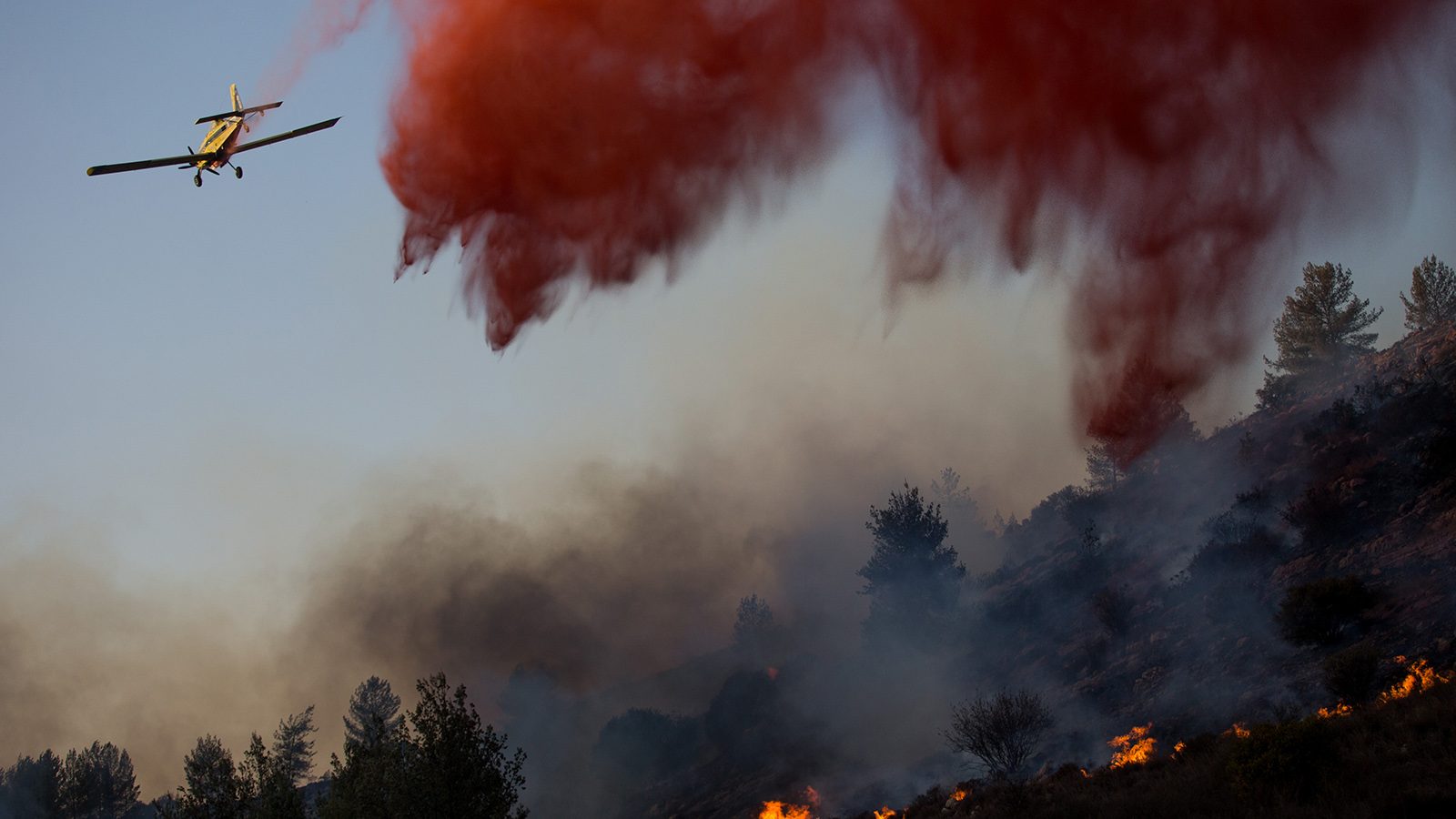 מטוס לנסות לכבות שריפה שפרצה ביער ליד שמורת הטבע נטף (צילום: יונתן זינדל / פלאש90).