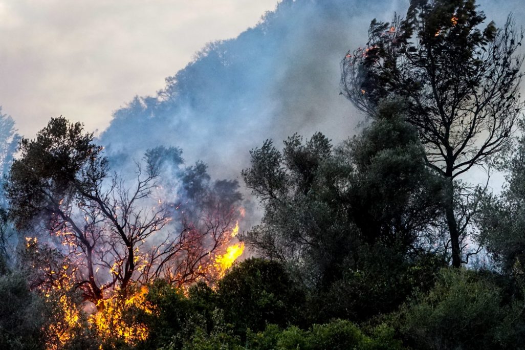שריפה באזור לטרון (צילום: מאיר ועקנין  פלאש 90)