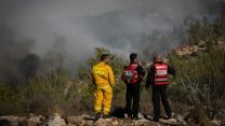 לוחמי אש משקיפים על השריפה באזור נווה אילן, נובמבר 2016 (צילום: יונתן זינדל \ פלאש 90)