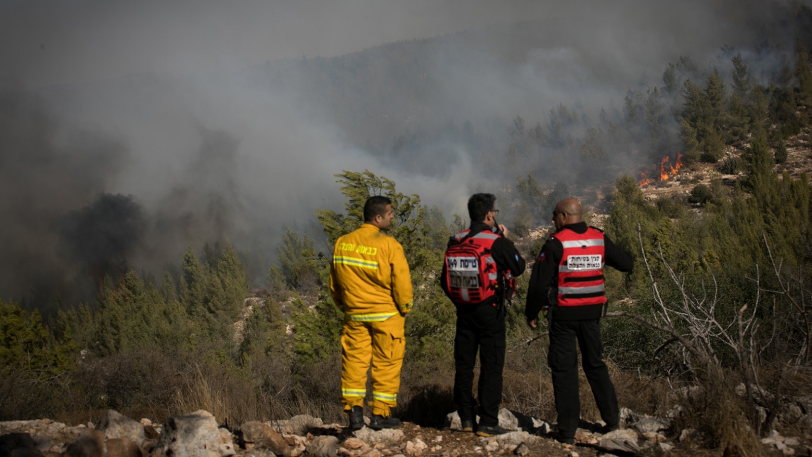 לוחמי אש מקיפים על השריפה באזור נווה אילן, נובמבר 2016 (צילום: יונתן זינדל \ פלאש 90)