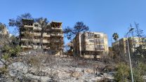 מבט מרחוב פיק"א חיפה, לאחר השרפה נובמבר 2016 (צילום: דבר ראשון).