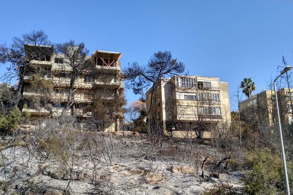 מבט מרחוב פיק"א חיפה, לאחר השרפה נובמבר 2016 (צילום: דבר ראשון).