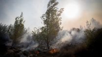 מזג אוויר חם ויבש עלול לגרום לשריפות (צילום: יונתן זינדל  פלאש 90)