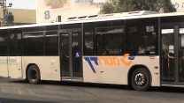 אוטובוס של חברת  מטרודן  (צילום: Danny-w  מתוך ויקימדיה)