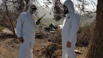 צוות של המשרד להגנת הסביבה בודק רמות זיהום (צילום ארכיון: דוברות המשרד להגנת הסביבה)