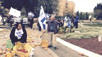 הפגנת החקלאים כנגד מדיניות הממשלה. החקלאים פיזרו תוצרת חקלאית בכיכר אשר נמצאת בכניסה לכנסת ישראל, והתפזרו כשאנשי משמר הכנסת הורו להם להתפנות. ברקע: משרד האוצר (צילום: עמית בן יאיר).