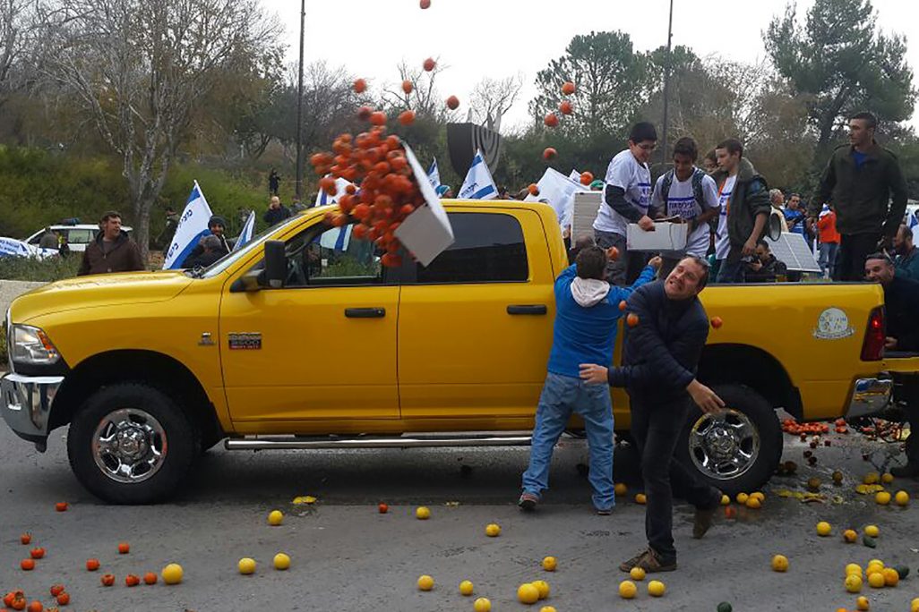 הפגנת התאחדות חקלאי ישראל כנגד מדיניות הממשלה (צילום: יח"צ).