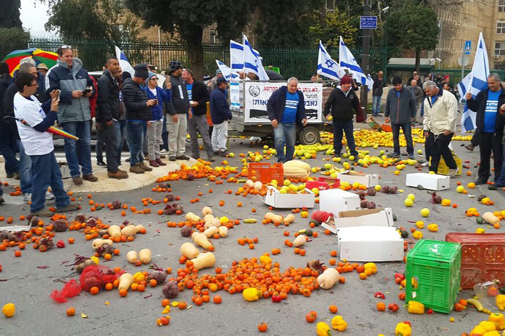 הפגנת החקלאים נגד צעדי הממשלה בירושלים, דצמבר 2016 (צילום: יח"צ)