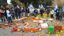 הפגנת החקלאים נגד צעדי הממשלה בירושלים, דצמבר 2016 (צילום: יח"צ)