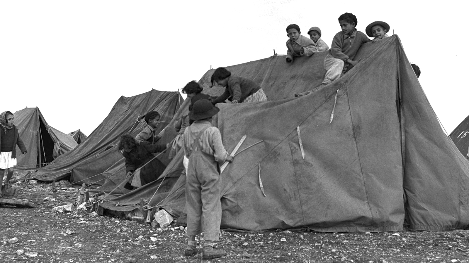 ילדי אליקים 1950 (צילום: בראונר טדי / לע"מ).