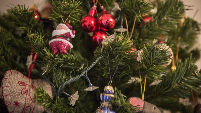 עץ ה׳יולקה׳ מקושט לכבוד חג ה׳נובי גוד׳ (צילום ארכיון: הדס פרוש / פלאש 90).