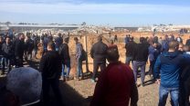 הריסת בתים בקלנסווה (קרדיט: דוברות הרשימה המשותפת).