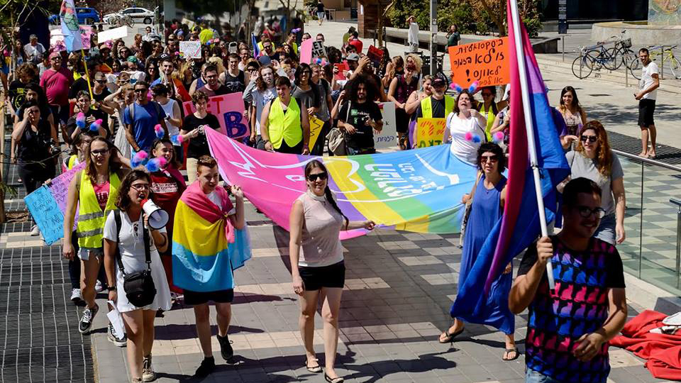 מצעד יום הנראות הביסקסואלי (צילום: Ann Liberzon).