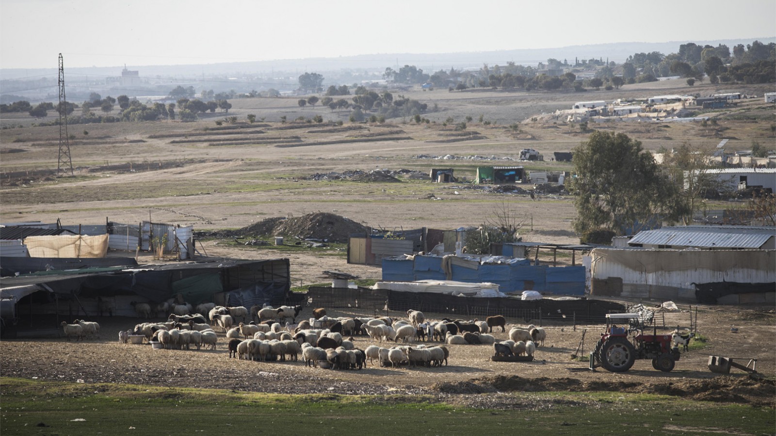 قرية بدوية في النقب (تصوير: ناتي شوحط / فلاش 90)