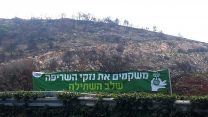 שלט פרסום לתכנית השיקום על קרע נזקי השריפה (צילום: דבר ראשון).