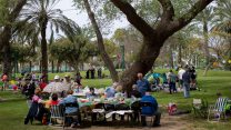 משפחות מבלות בפארק (צילום אילוסטרציה: מרים אלסטר / פלאש 90)