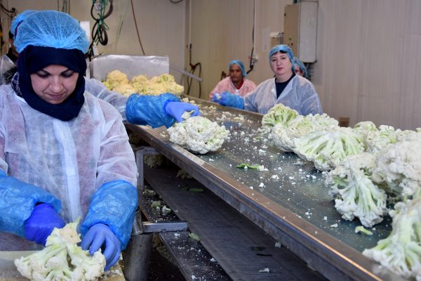 מפעל פרי גליל מאיים לפטר 100 עובדים בעקבות הורדת המכסים