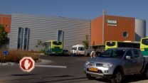 מפעל טבע ברמת חובב, ארכיון (צילום: דודו גרינשפן/ פלאש90).